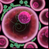 Virus Games